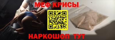 стаф Кингисепп