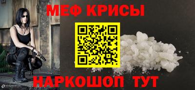 стаф Кингисепп