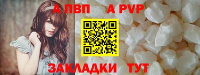 стаф Кингисепп