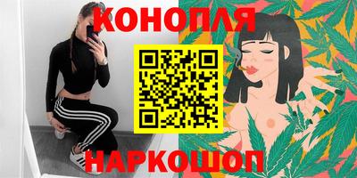 стаф Кингисепп