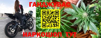 стаф Кингисепп