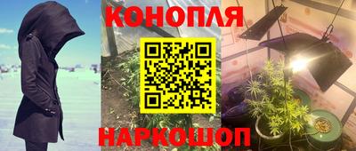 стафф Кимры
