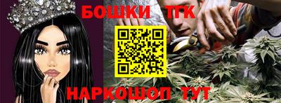 стаф Кингисепп