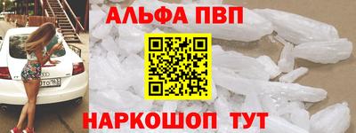 стаф Кингисепп